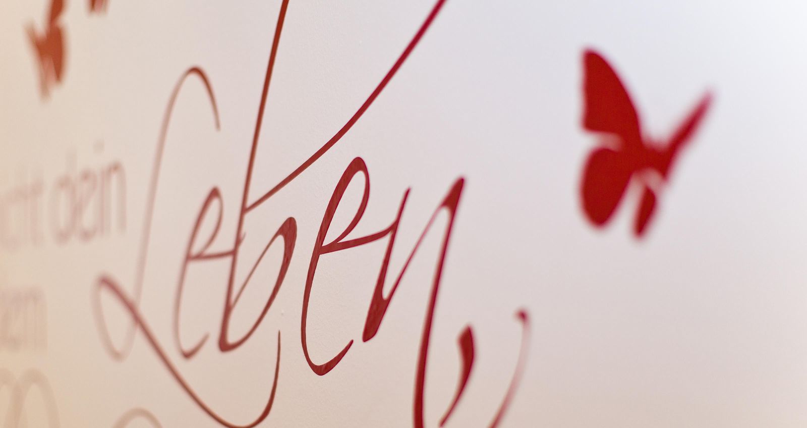 Header-Image: Rechtsformcheck und Abgabenoptimierung